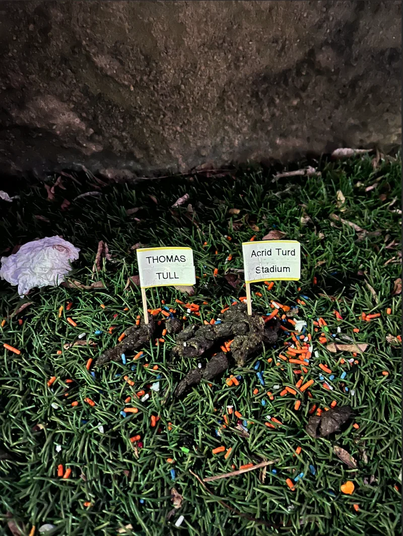 “Thomas Tull” and “Acrid Turd Stadium” flags in dog poop