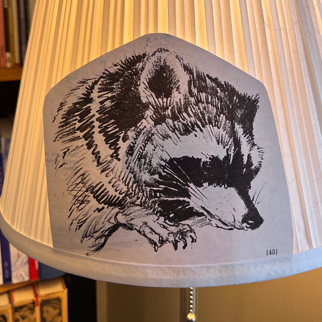 Raccoon image on lampshade