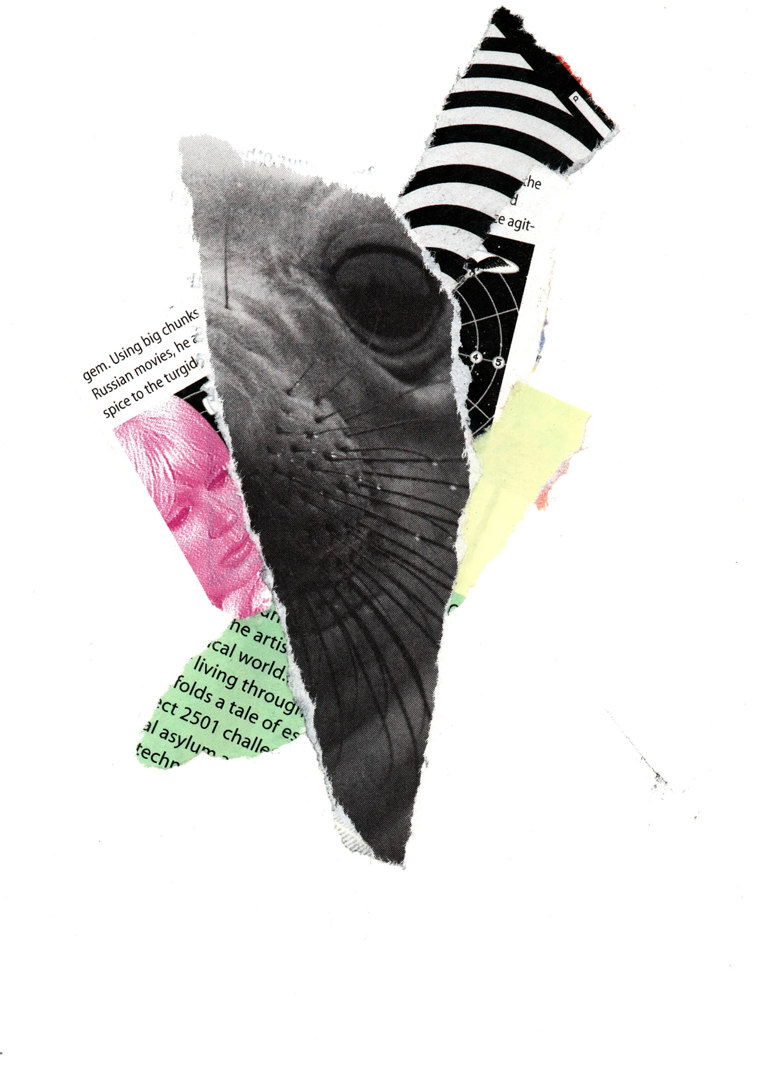 Collage with a seal in black and white, a woman in pink, and some text in green