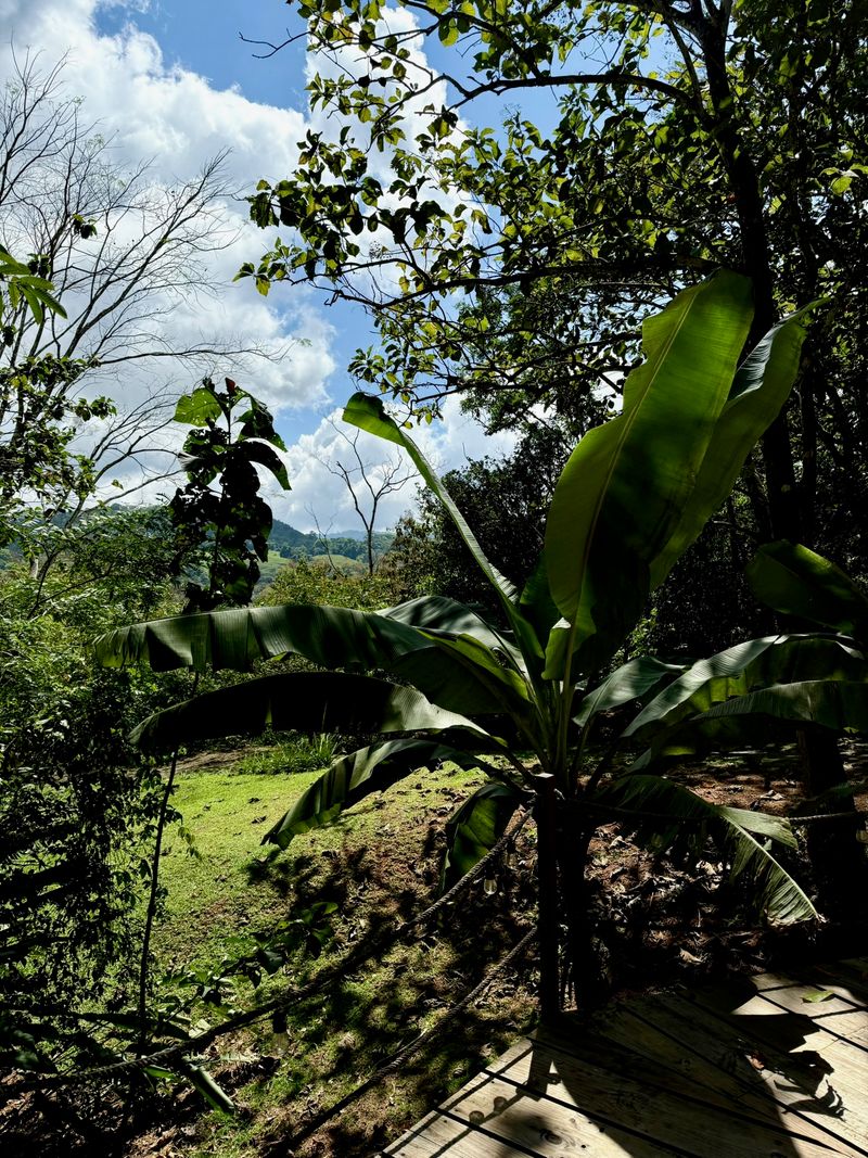 View of Valle de los Caballos from dome